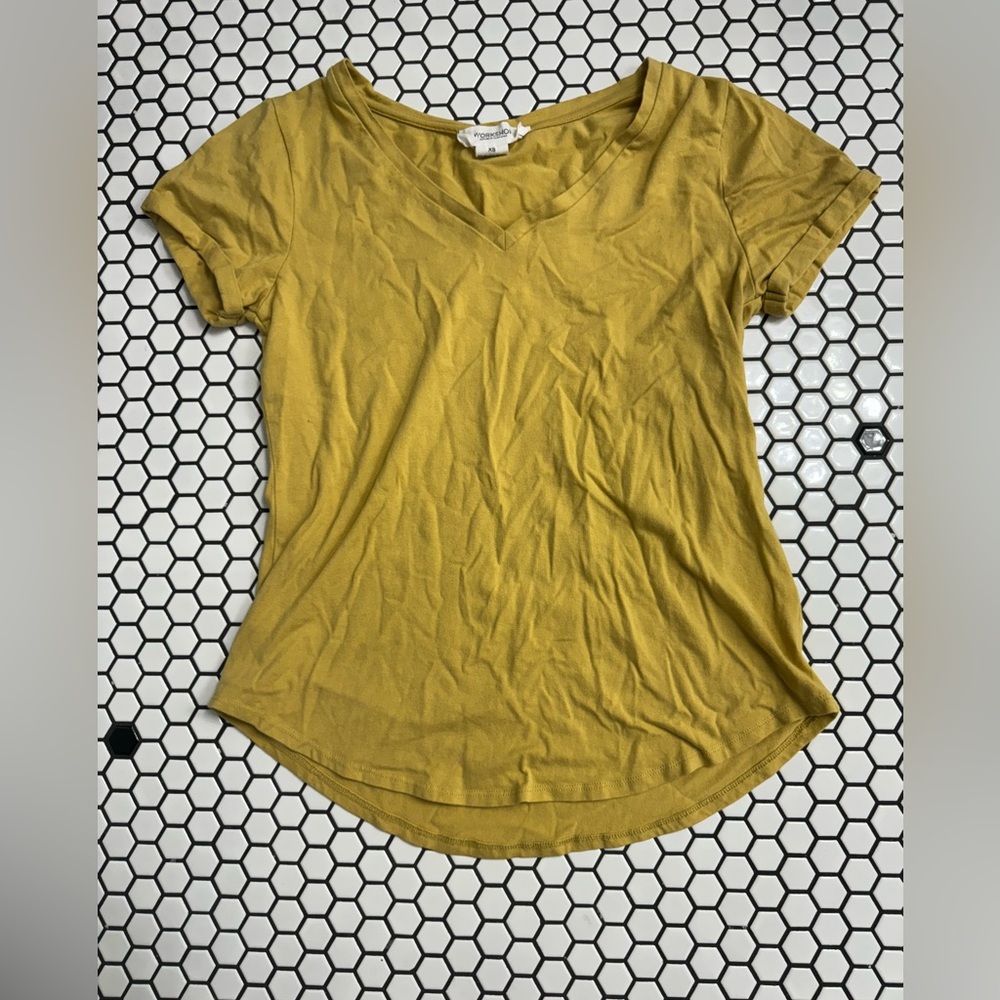 Workshop republic clothing organic cotton v neck T shirt size XS